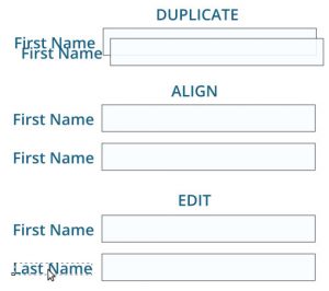 Duplicate - Align - Edit strategy of mocking up forms